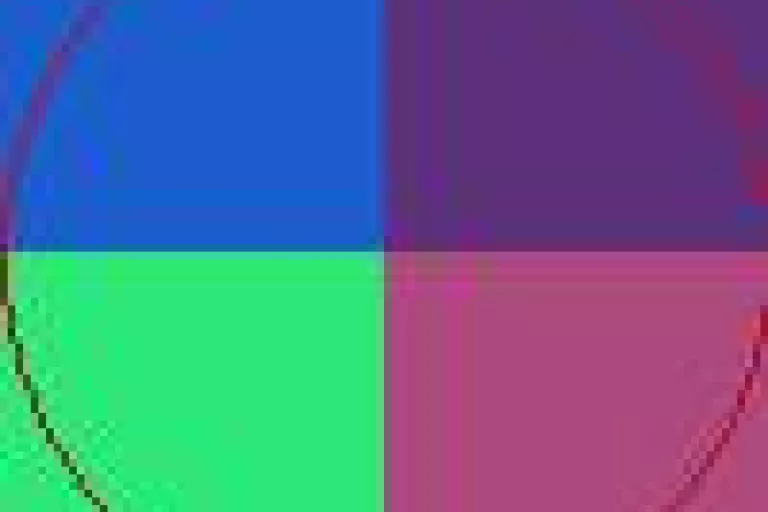 Erat immitto natu. Nimis valde valetudo.