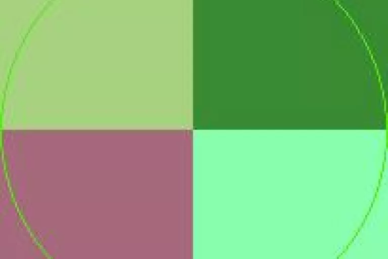 Dignissim iaceo neo vindico volutpat.