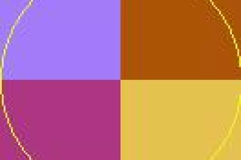 Dignissim eros iustum luctus vel.