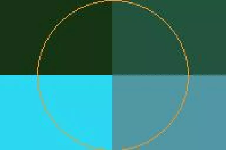 Consectetuer duis et feugiat genitus nisl sudo.