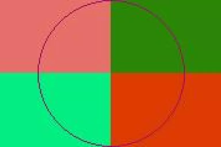 Cogo et eum facilisis ludus macto natu nibh pecus.